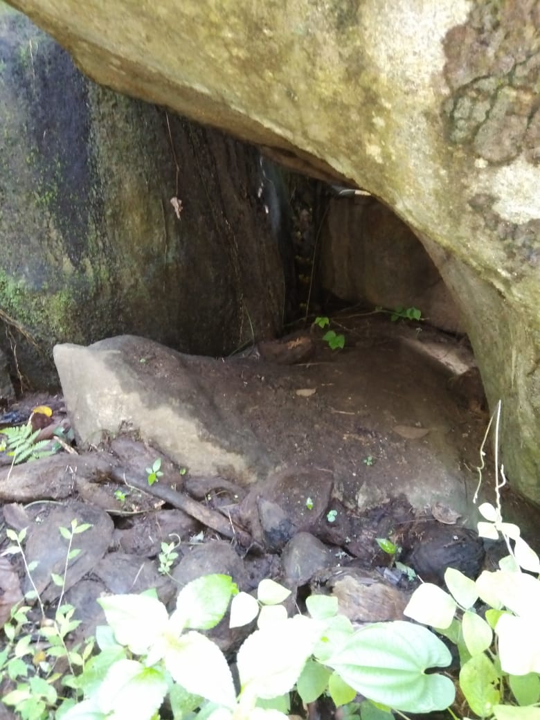 Gallery Image 11