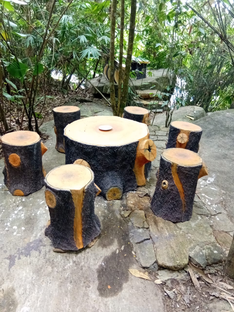 Forest Dining