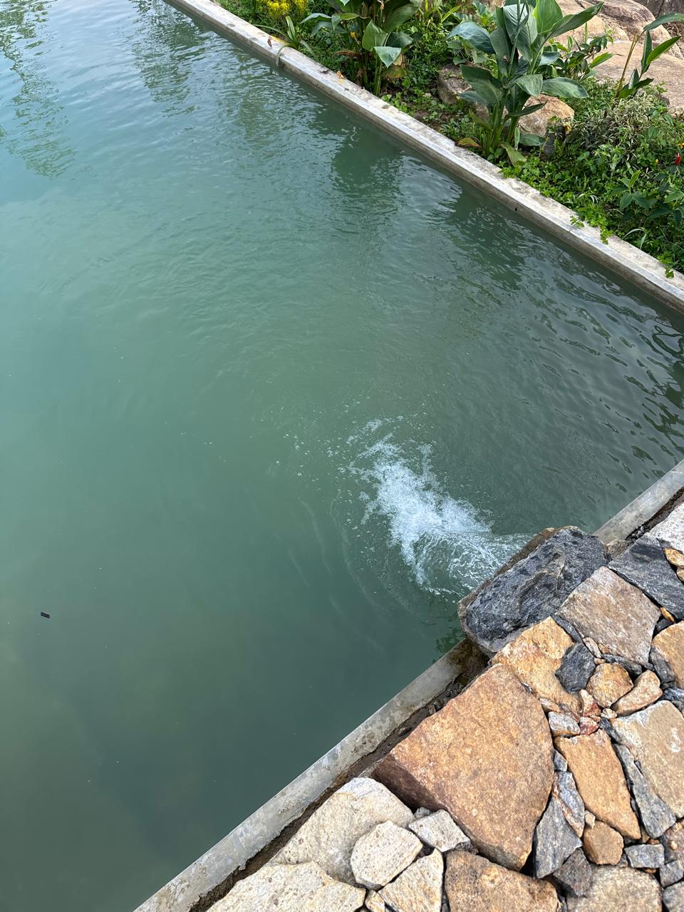 Spring Pool